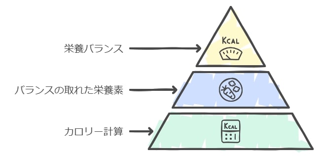 健康維持に最適：計算されたカロリーと栄養素